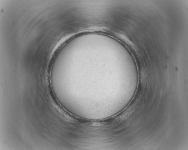 X0000070371412200607072117