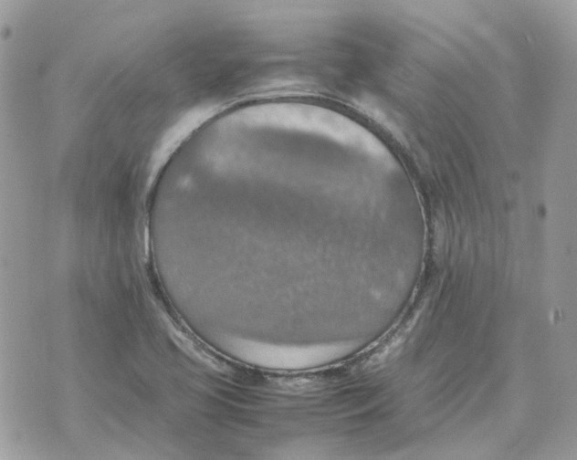 X0000070371413200607072117