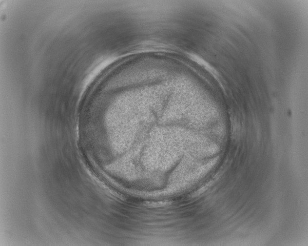 X0000070371415200607072117