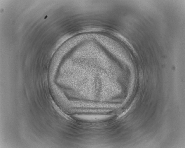 X0000070371417200607072117