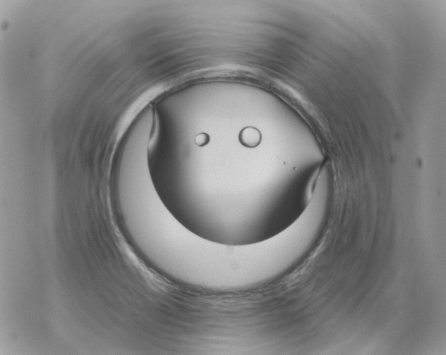 X0000070371418200607072117