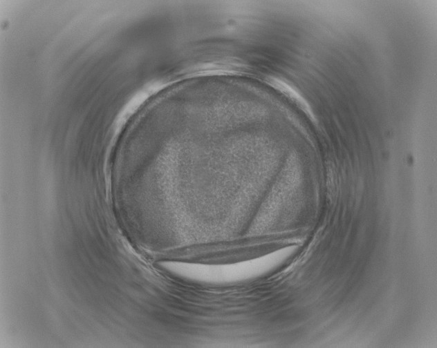 X0000070371419200607072117