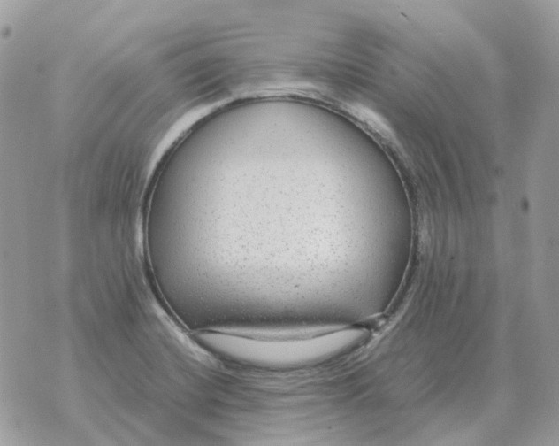 X0000070371420200607072117