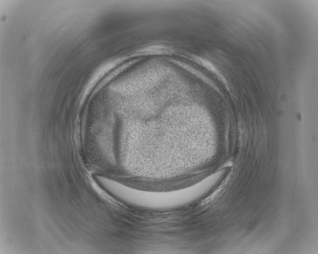 X0000070371421200607072117