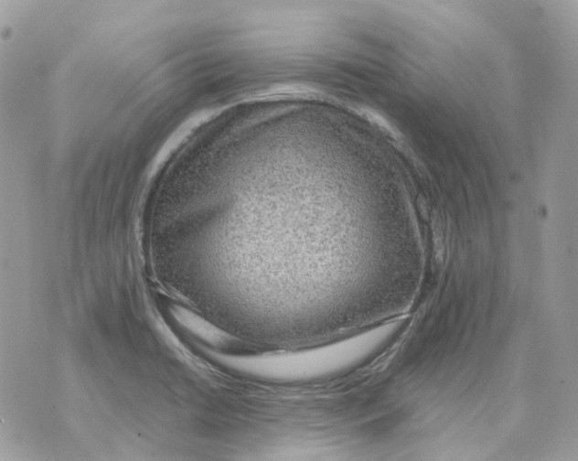 X0000070371422200607072117