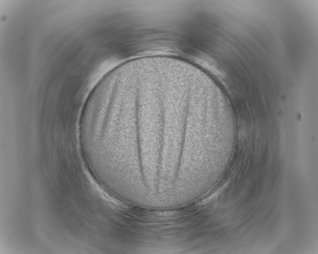 X0000070371423200607072117