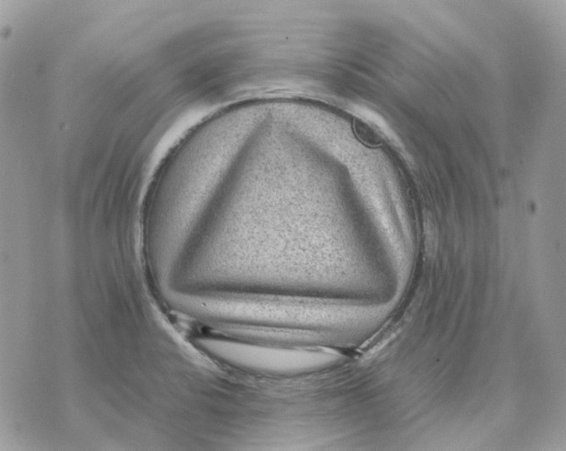 X0000070371424200607072117