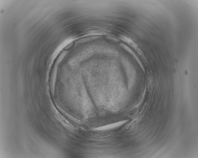 X0000070371427200607072117