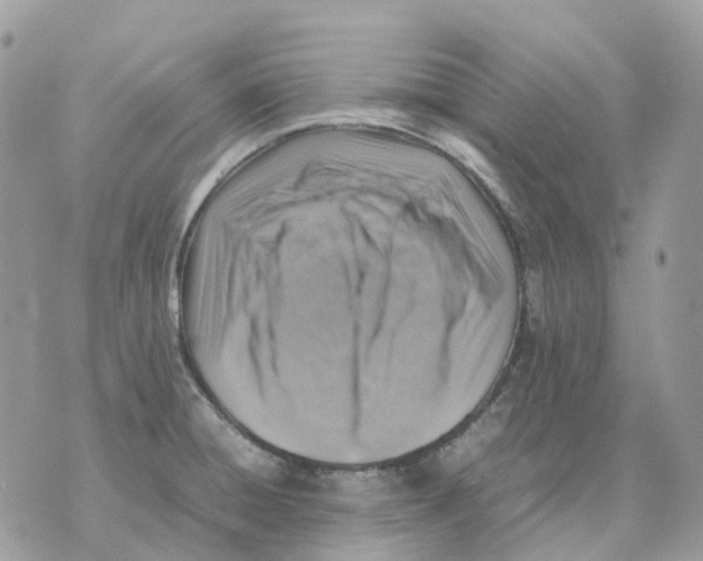 X0000070371428200607072117