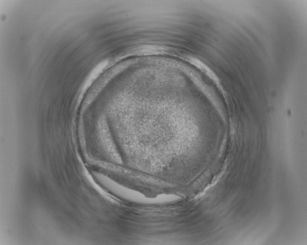 X0000070371429200607072117