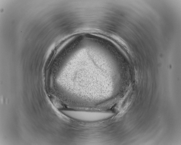 X0000070371430200607072117