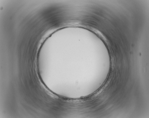 X0000070371432200607072117