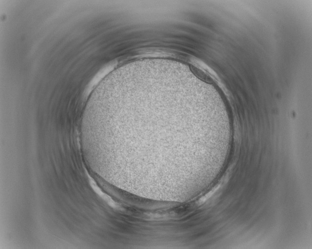 X0000070371433200607072117