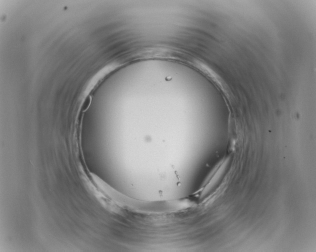 X0000070371434200607072117