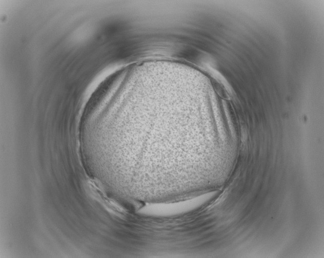 X0000070371435200607072117