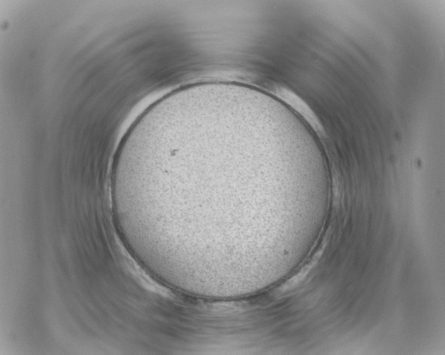 X0000070371436200607072117