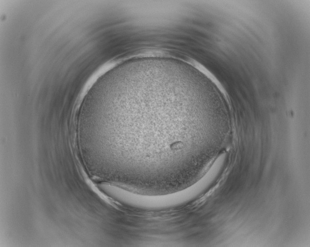 X0000070371437200607072117