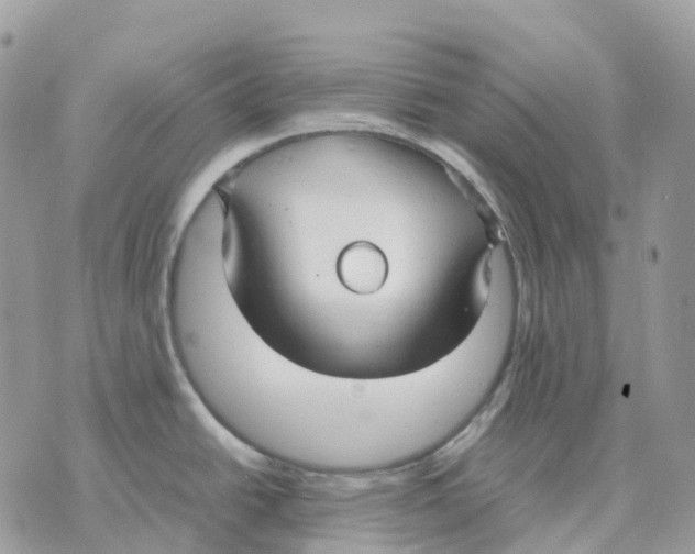 X0000070371438200607072117