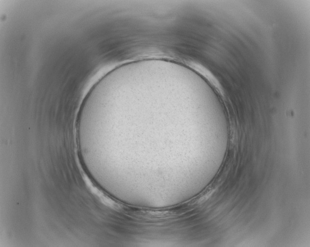 X0000070371439200607072117