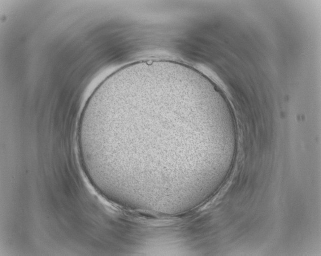 X0000070371440200607072117