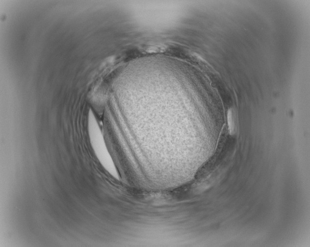 X0000070371443200607072116