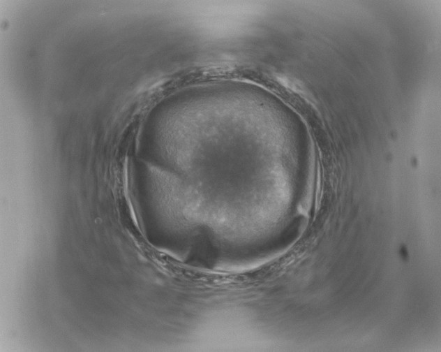 X0000070371445200607072116