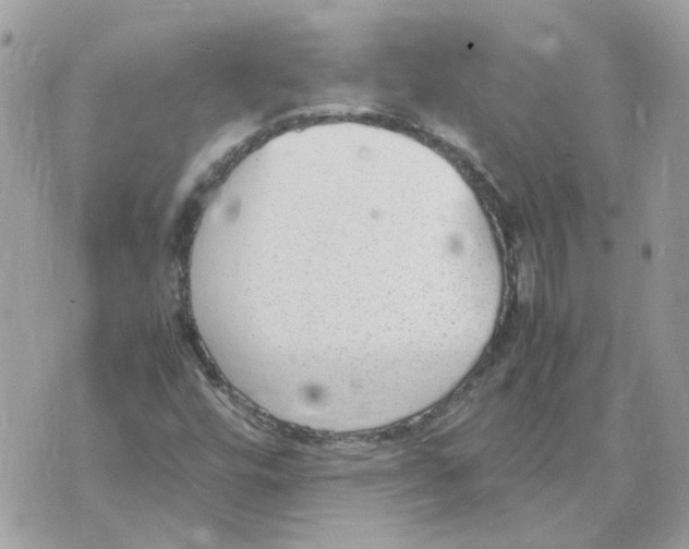 X0000070371448200607072116