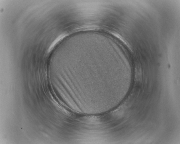 X0000070371450200607072116