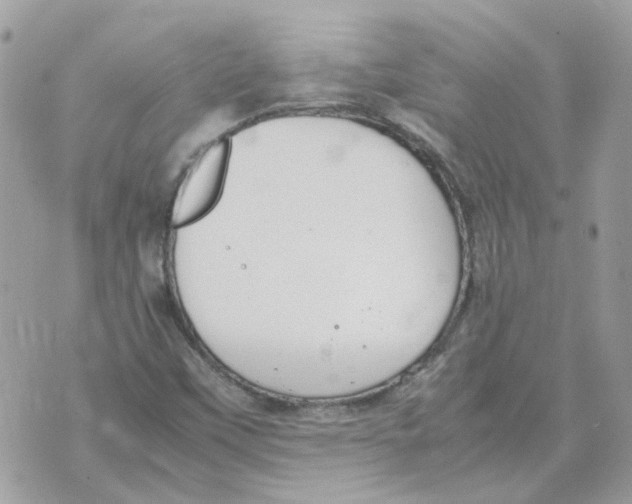 X0000070371451200607072116