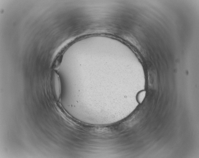 X0000070371452200607072116