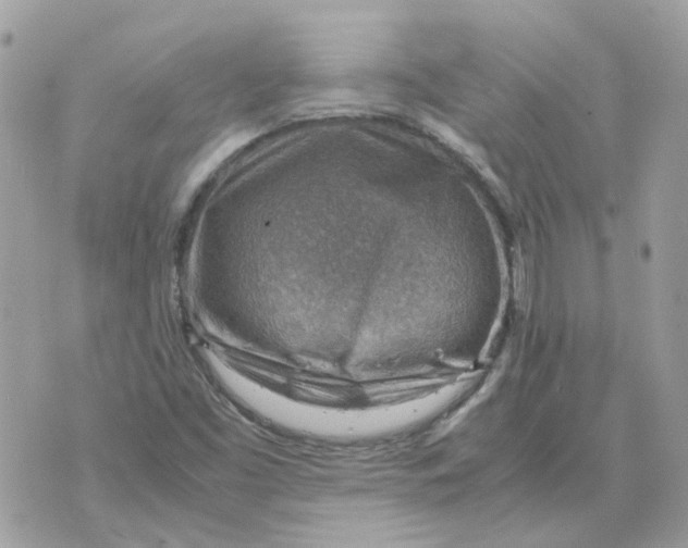 X0000070371453200607072116