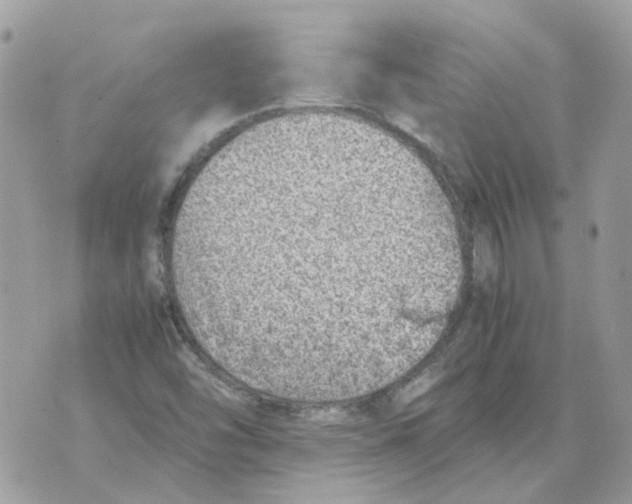 X0000070371454200607072116