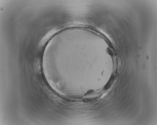 X0000070371455200607072116