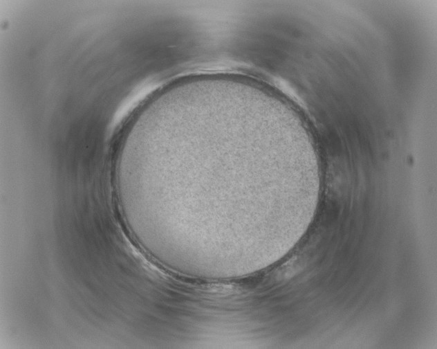 X0000070371456200607072116