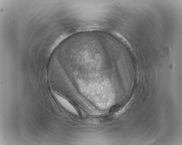 X0000070371457200607072116