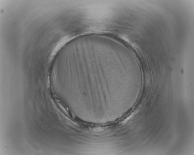 X0000070371459200607072116