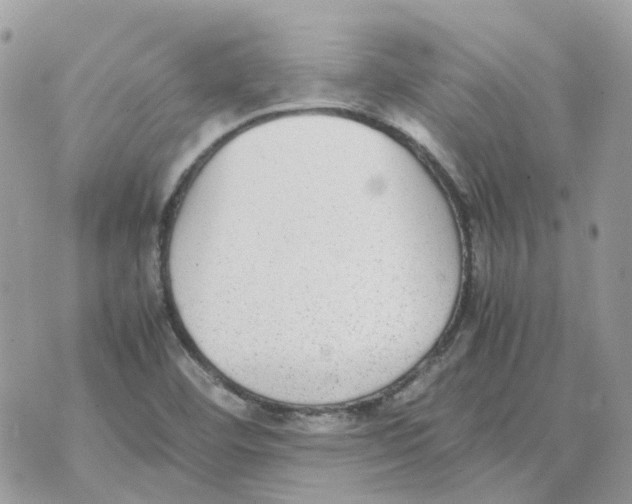 X0000070371460200607072116