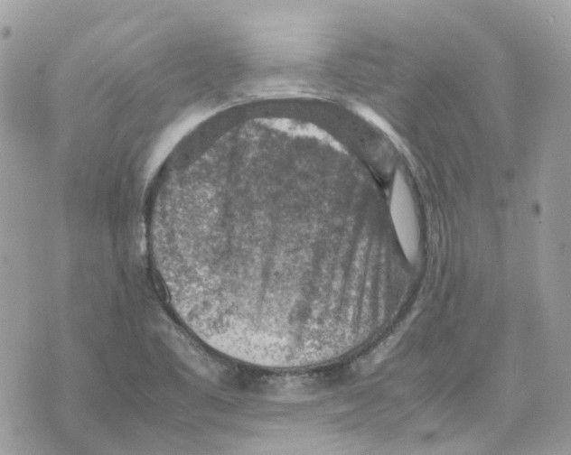 X0000070371461200607072116