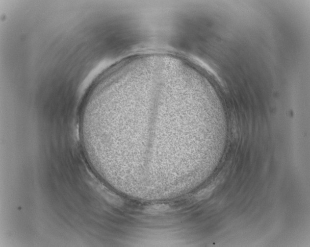 X0000070371462200607072116