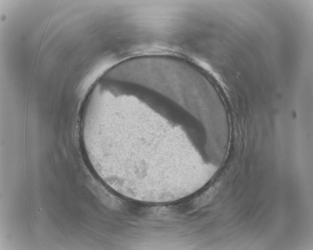 X0000070371463200607072116