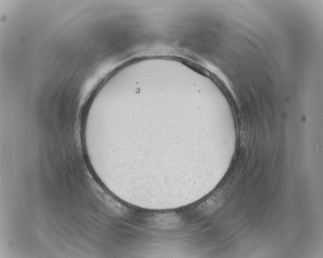 X0000070371464200607072116