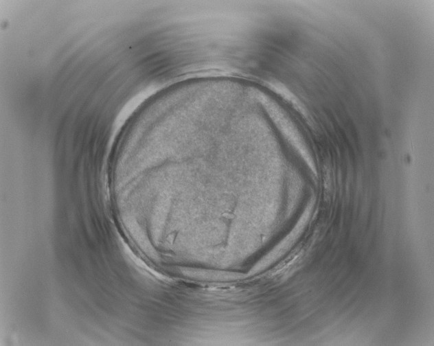 X0000070371466200607072116