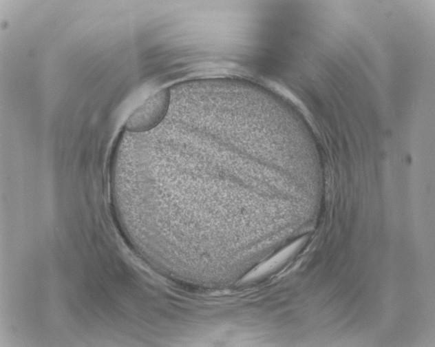 X0000070371467200607072116