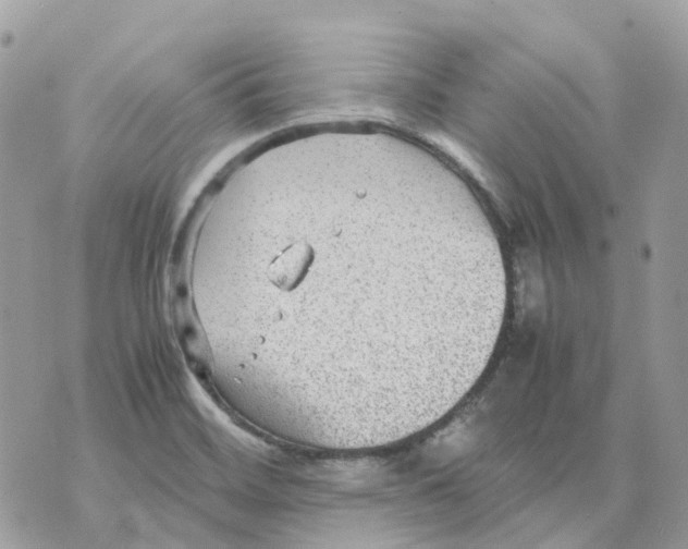 X0000070371468200607072116