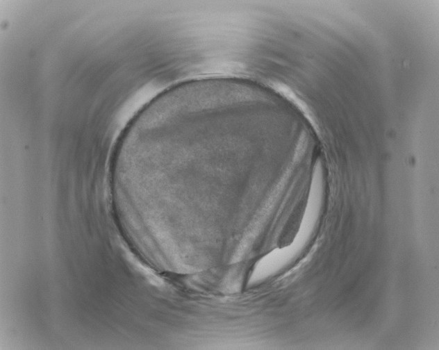 X0000070371469200607072116