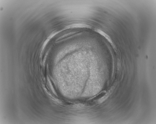 X0000070371473200607072116