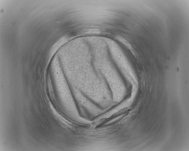 X0000070371475200607072116