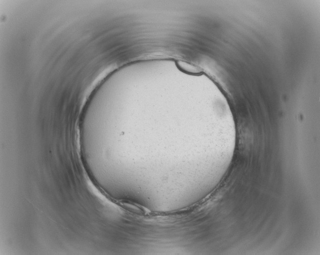 X0000070371476200607072116