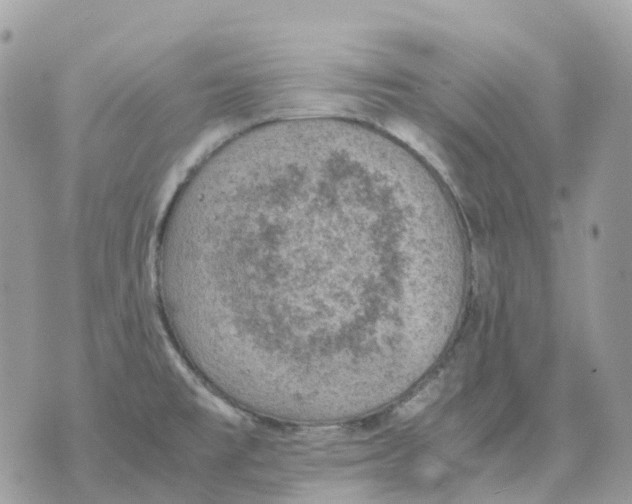 X0000070371477200607072116