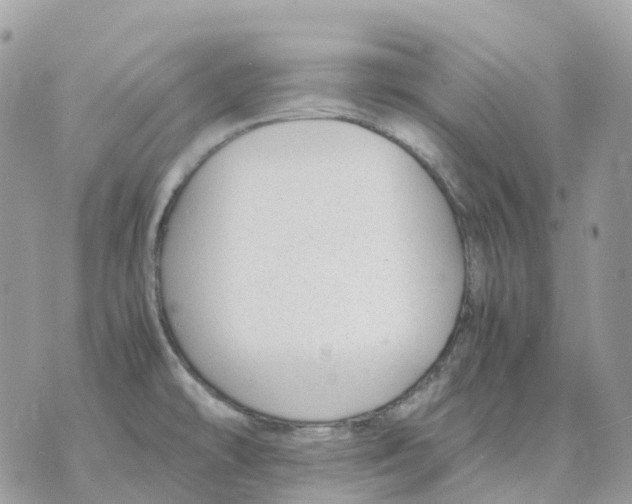 X0000070371478200607072116